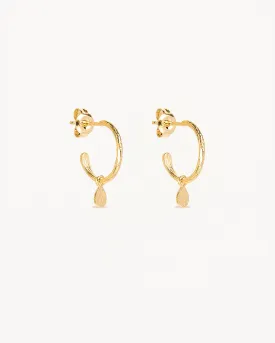 18k Gold Vermeil Grace Hoops