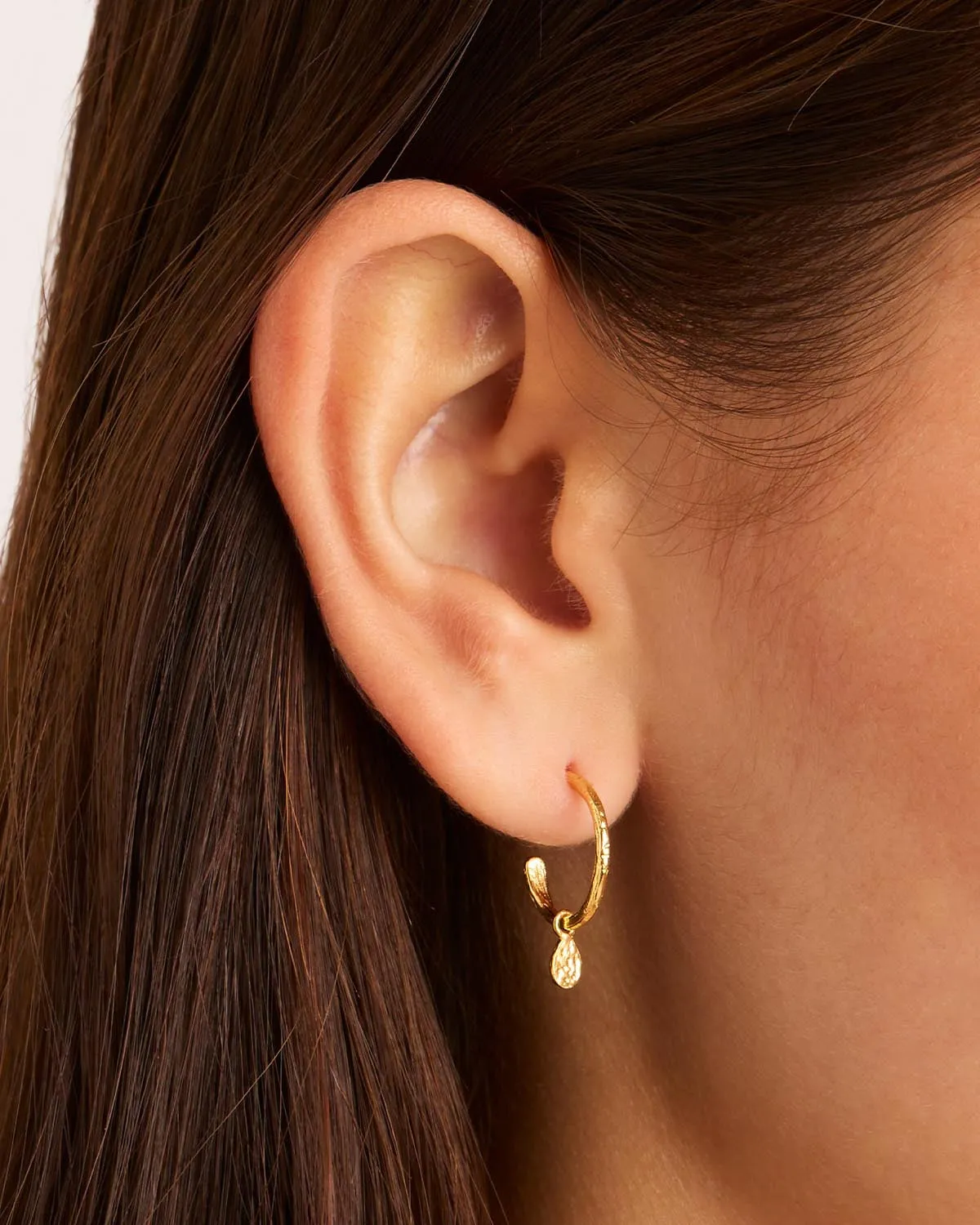 18k Gold Vermeil Grace Hoops