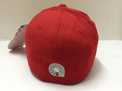 Akademiks Flexfit Cap Red Style # (AKPR003) One Size Fits All