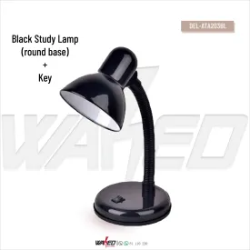 Desk Lamp